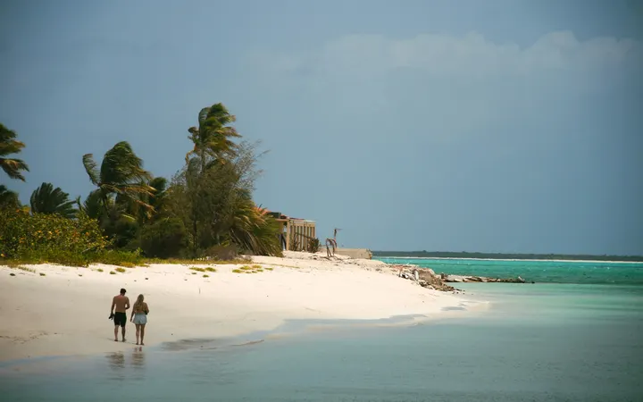 Couple walking on a white sand beach with palm trees